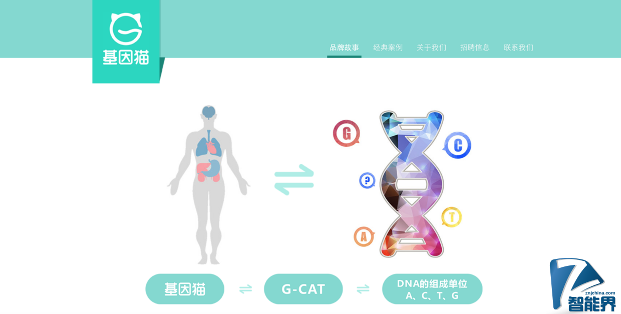 基因檢測可能要打價格戰(zhàn)了，全環(huán)節(jié)自研的 “基因貓” 能突圍而出嗎