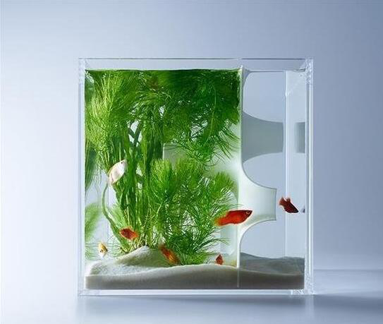 日本藝術(shù)家用3D打印打造個性水族箱