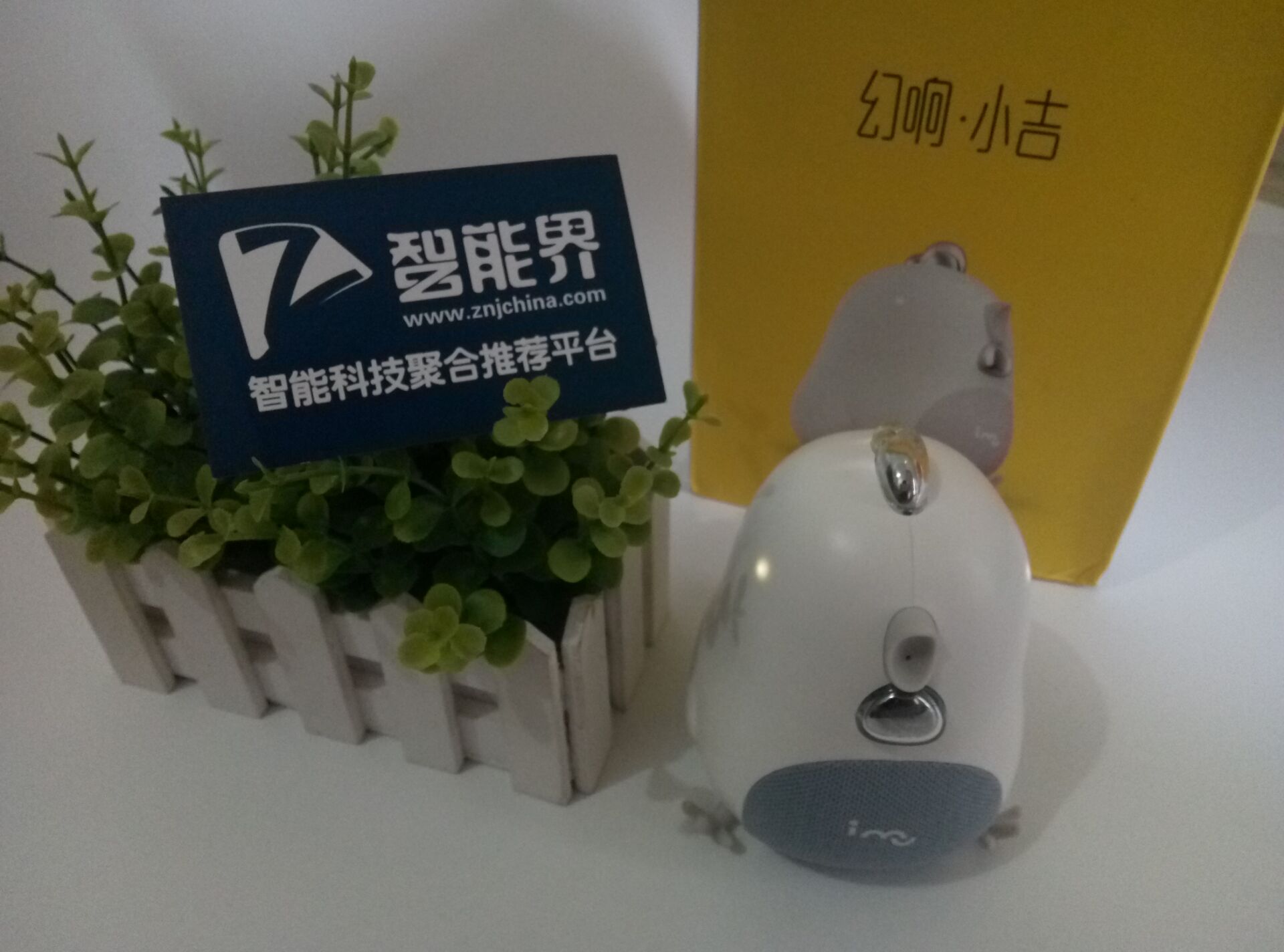 可愛又萌人的幻響小吉，小吉小吉咕咕day