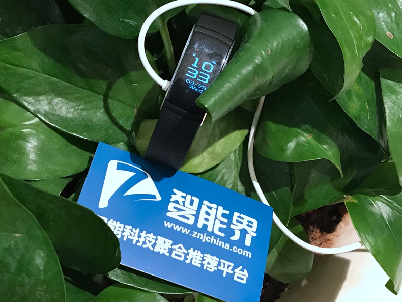 埃微蛋卷手環(huán)：更符合大眾對(duì)智能手環(huán)的認(rèn)知