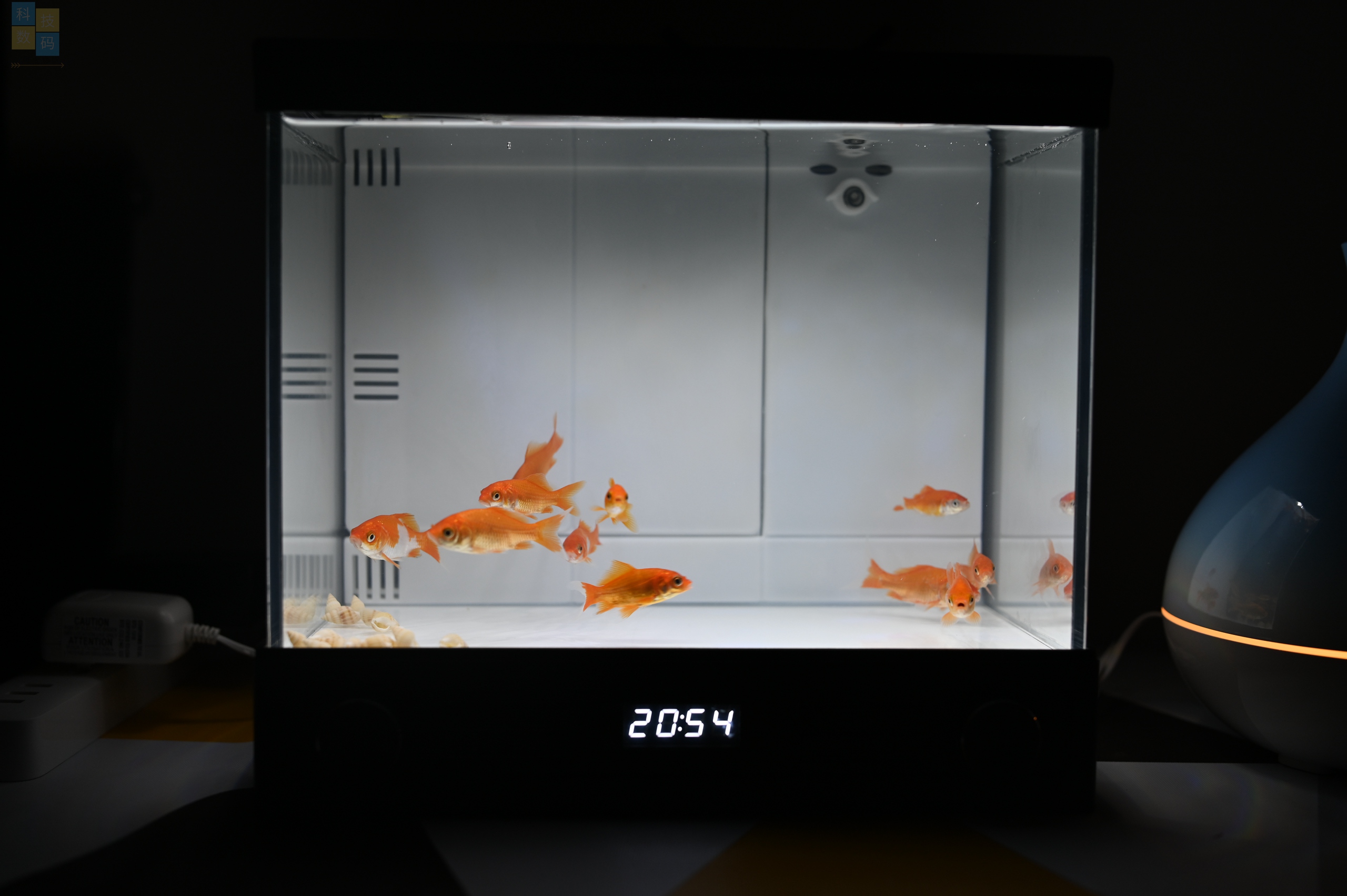 復古風的小魚缸，還有幻彩燈效加持，憶趣TV3.0體驗